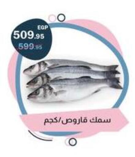 available at فلامنجو هايبرماركت in Egypt - القاهرة