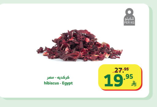 available at الراية in مملكة العربية السعودية, السعودية, سعودية - تبوك