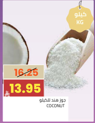 Coconut available at أسواق أسترا in مملكة العربية السعودية, السعودية, سعودية - تبوك