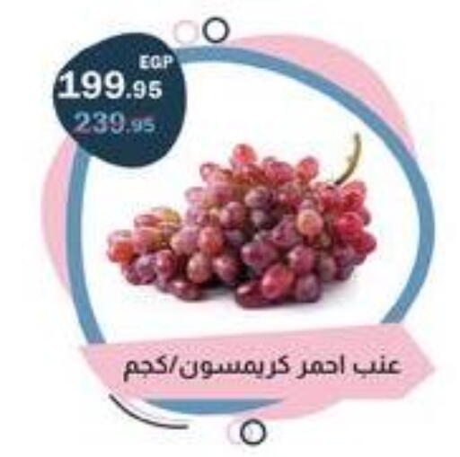 available at Flamingo Hyper Market in Egypt - Cairo