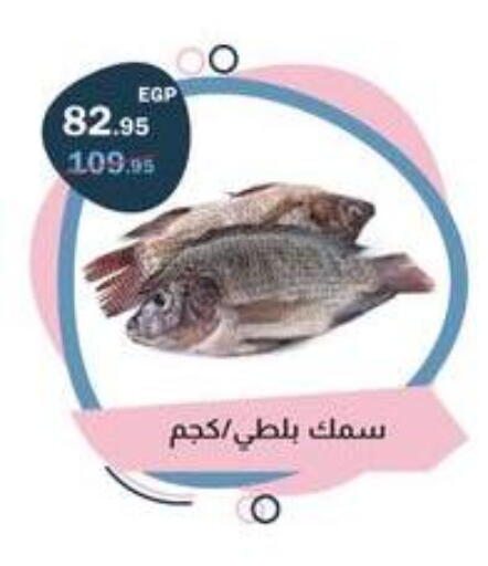 available at Flamingo Hyper Market in Egypt - Cairo