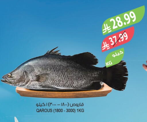 available at المزرعة in مملكة العربية السعودية, السعودية, سعودية - الخرج