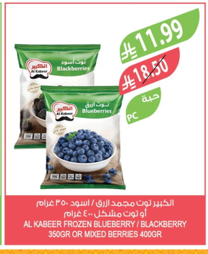 Blueberry BlueBerry Blackberry available at Farm  in KSA, Saudi Arabia, Saudi - Tabuk