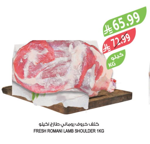 available at المزرعة in مملكة العربية السعودية, السعودية, سعودية - الخرج