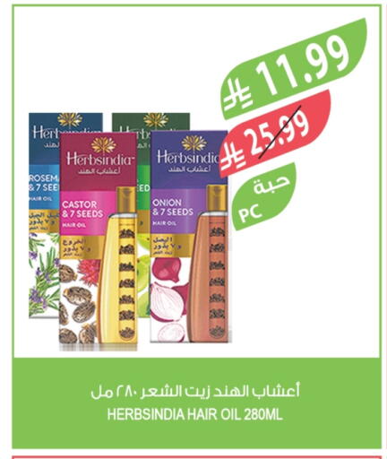 Onion available at المزرعة in مملكة العربية السعودية, السعودية, سعودية - الخرج