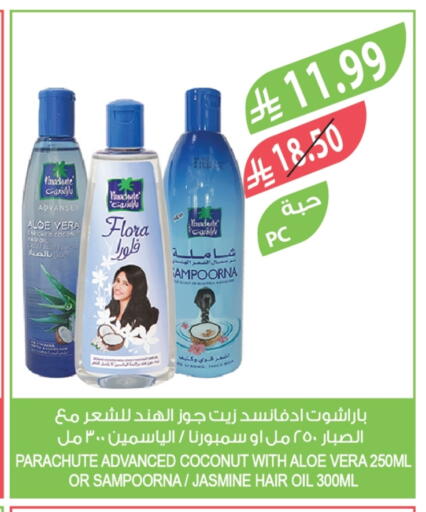 Coconut available at المزرعة in مملكة العربية السعودية, السعودية, سعودية - الخرج