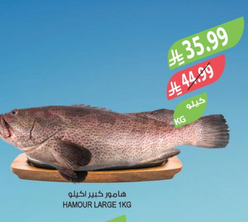 available at المزرعة in مملكة العربية السعودية, السعودية, سعودية - الخرج