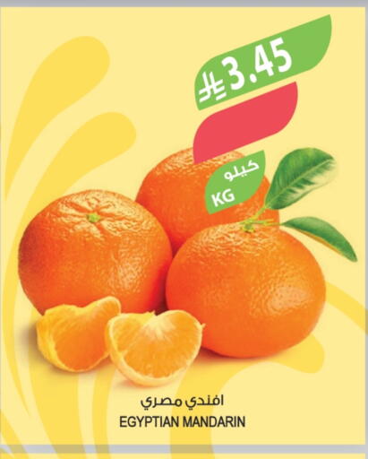 Mandarin from Egypt available at المزرعة in مملكة العربية السعودية, السعودية, سعودية - الخرج