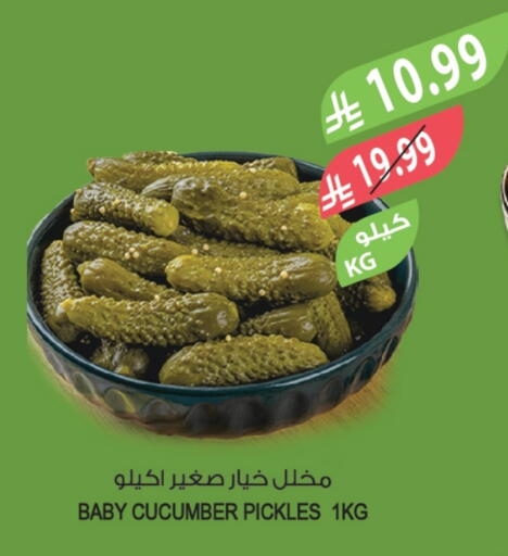 Cucumber available at المزرعة in مملكة العربية السعودية, السعودية, سعودية - الخرج