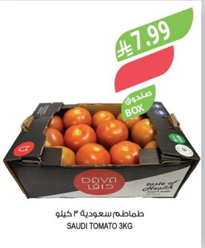 Tomato from Saudi Arabia available at المزرعة in مملكة العربية السعودية, السعودية, سعودية - الخرج