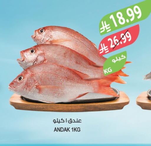 available at Farm  in KSA, Saudi Arabia, Saudi - Al Khobar