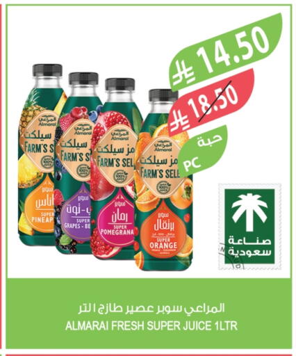 Grapes Orange available at Farm  in KSA, Saudi Arabia, Saudi - Tabuk