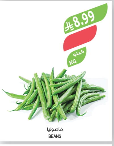 available at المزرعة in مملكة العربية السعودية, السعودية, سعودية - الخرج