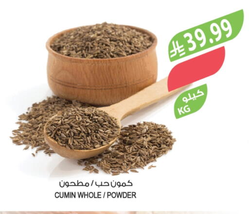 Cumin available at المزرعة in مملكة العربية السعودية, السعودية, سعودية - الخرج