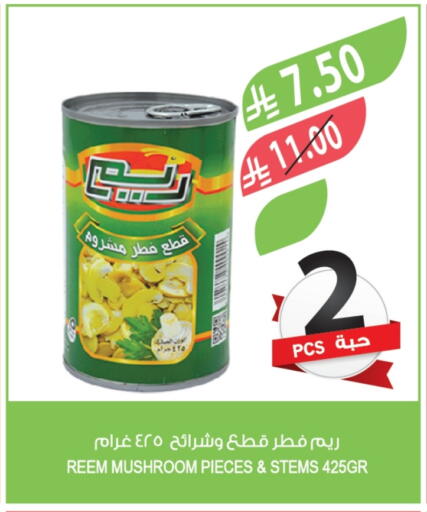 Mushroom available at Farm  in KSA, Saudi Arabia, Saudi - Sakaka