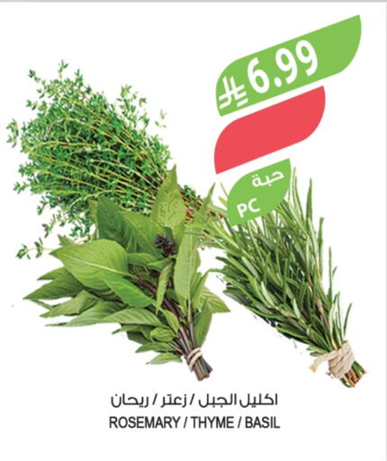 Rosemary Thyme Basil available at المزرعة in مملكة العربية السعودية, السعودية, سعودية - الخرج