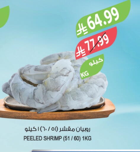 available at المزرعة in مملكة العربية السعودية, السعودية, سعودية - الخرج