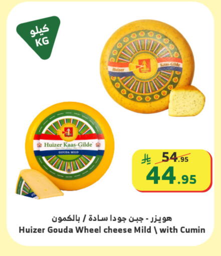 Cumin available at الراية in مملكة العربية السعودية, السعودية, سعودية - تبوك