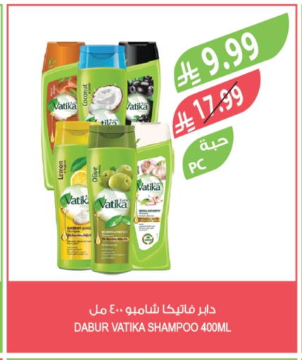 Coconut available at المزرعة in مملكة العربية السعودية, السعودية, سعودية - الخرج