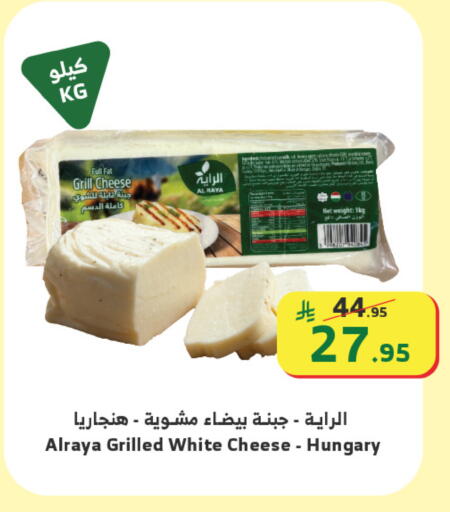 available at الراية in مملكة العربية السعودية, السعودية, سعودية - تبوك