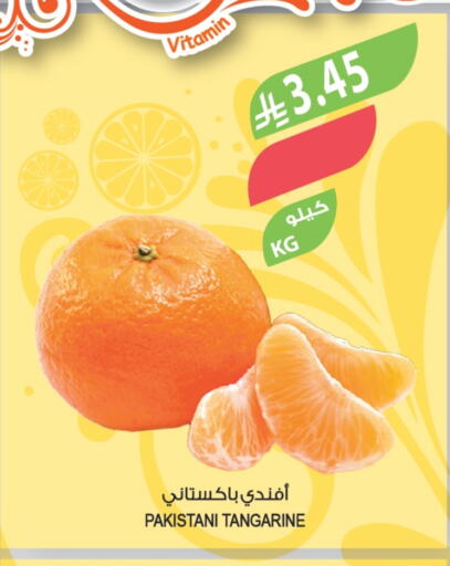 from Pakistan available at المزرعة in مملكة العربية السعودية, السعودية, سعودية - الخرج