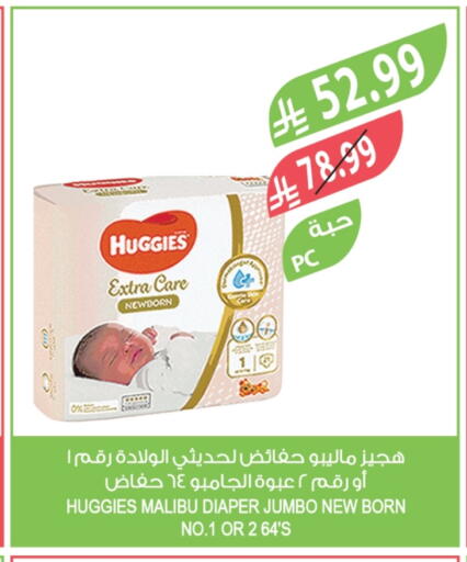 available at المزرعة in مملكة العربية السعودية, السعودية, سعودية - الخرج