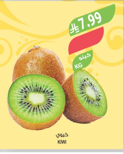 Kiwi available at المزرعة in مملكة العربية السعودية, السعودية, سعودية - الخرج