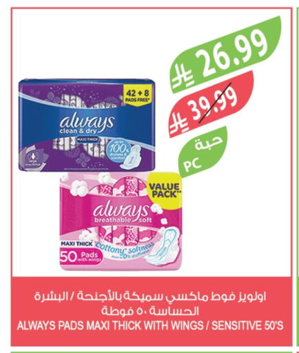 available at المزرعة in مملكة العربية السعودية, السعودية, سعودية - الخرج