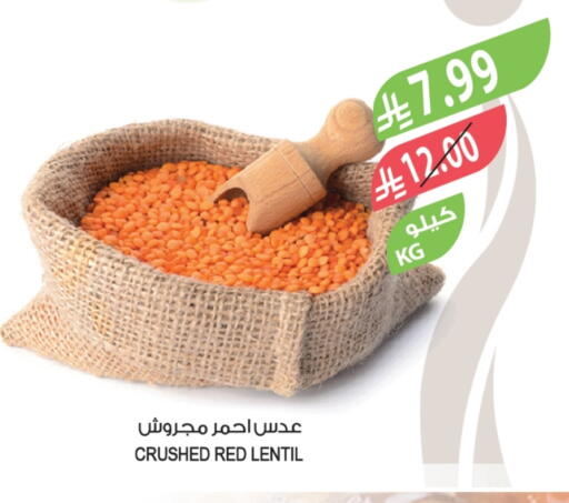 available at المزرعة in مملكة العربية السعودية, السعودية, سعودية - الخرج