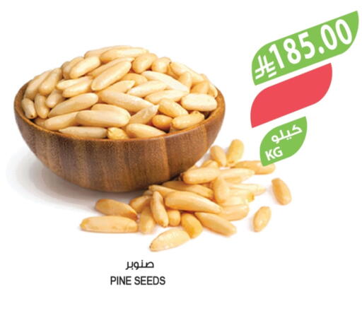 available at المزرعة in مملكة العربية السعودية, السعودية, سعودية - الخرج