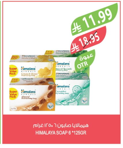 Turmeric Cucumber available at المزرعة in مملكة العربية السعودية, السعودية, سعودية - الخرج