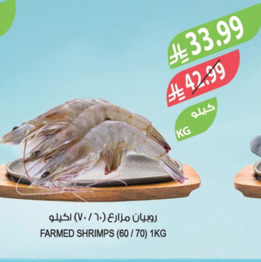 available at المزرعة in مملكة العربية السعودية, السعودية, سعودية - الخرج