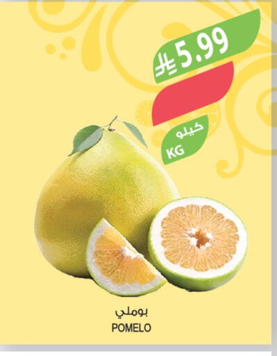 available at المزرعة in مملكة العربية السعودية, السعودية, سعودية - الخرج