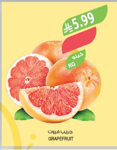 available at المزرعة in مملكة العربية السعودية, السعودية, سعودية - الخرج