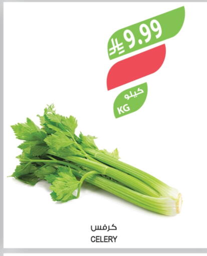 Celery available at المزرعة in مملكة العربية السعودية, السعودية, سعودية - الخرج