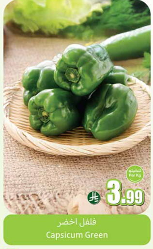 Capsicum available at أسواق عبد الله العثيم in مملكة العربية السعودية, السعودية, سعودية - تبوك