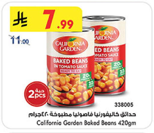 Tomato available at بن داود in مملكة العربية السعودية, السعودية, سعودية - جدة