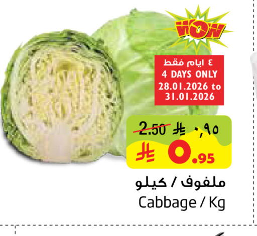 Cabbage available at ليان هايبر in مملكة العربية السعودية, السعودية, سعودية - الخبر‎