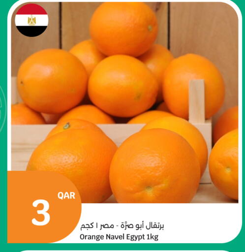 Orange from Egypt available at سيتي هايبرماركت in قطر - الريان