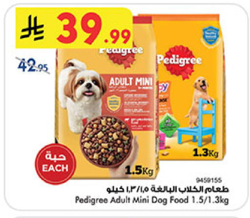 available at بن داود in مملكة العربية السعودية, السعودية, سعودية - جدة