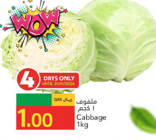 Cabbage available at جلف فود سنتر in قطر - الشحانية
