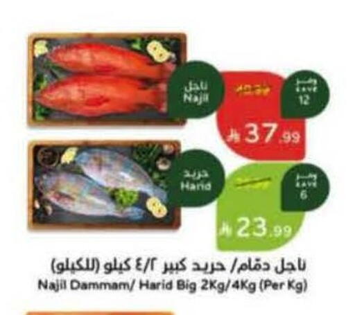 available at هايبر بنده in مملكة العربية السعودية, السعودية, سعودية - الخرج