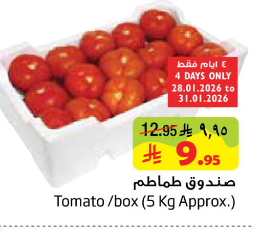 Tomato available at ليان هايبر in مملكة العربية السعودية, السعودية, سعودية - الخبر‎