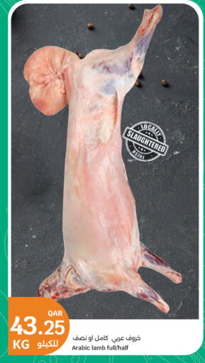 available at سيتي هايبرماركت in قطر - الريان