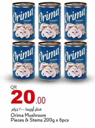 Mushroom available at أسواق أسباير in قطر - الريان