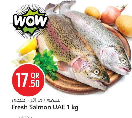 available at سفاري هايبر ماركت in قطر - الريان