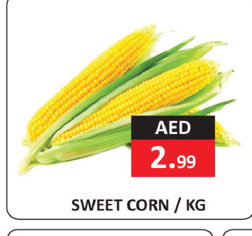 available at  RIVIERA SUPERMARKET L.L.C in UAE - Abu Dhabi