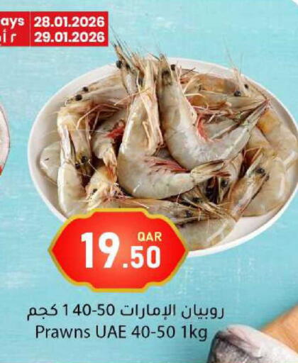 available at دانا ماركت in قطر - الشحانية