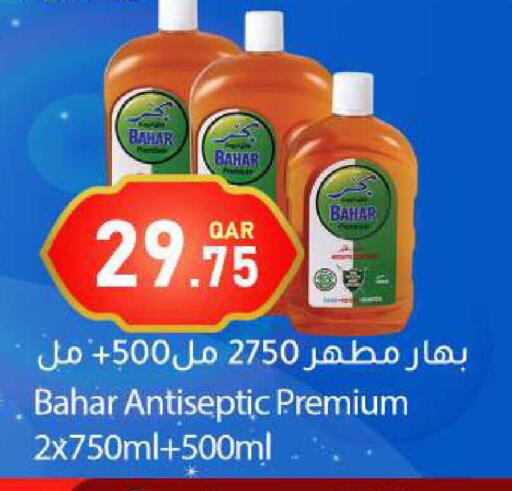 available at دانا ماركت in قطر - الشحانية