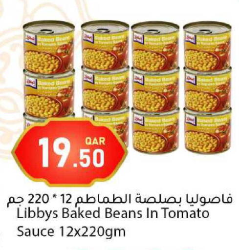 Tomato available at دانا ماركت in قطر - الشحانية